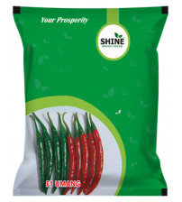 Chilli / Hot Pepper Umang 10 grams